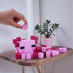 p0. Bộ Lắp Ghép Mô Hình Minecraft Axolotl