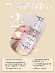 Bộ dầu gội phục hồi đa tầng Nấm Weilaiya Perfume Repair Series