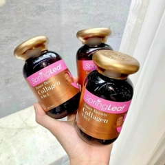 Viên uống Collagen 6in1 Spring Leaf của Úc