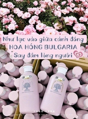 Dầu gội xả Biotin Essence màu hồng mỗi chai 500ml