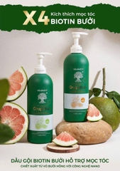Cặp gội xả Biotin Collagen Bưởi