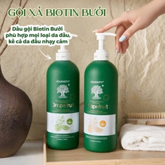 Cặp gội xả Biotin Collagen Bưởi