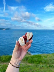 Táo đỏ kẹp sữa lạc đà Kaza túi 500gr