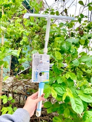 Dụng cụ lau kính cán dài nội địa Nhật Bản