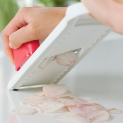 Dụng cụ bào hành, tỏi Tupperware