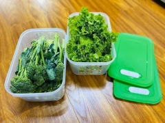 Sét 2 hộp đựng thực phẩm ngăn mát tupperware Vent 4.4L