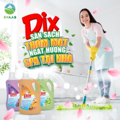 Nước lau sàn DIX can 2L