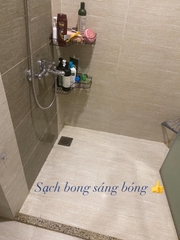 Tẩy nấm mốc Bref Đức