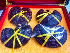 Nấm Linh Chi Núi Trường Bạch tỉnh Cát Lâm - Trung Quốc hộp 4 nấm