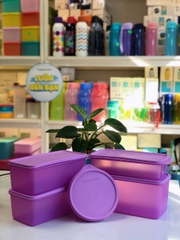 Bộ trữ mát tím freshia tupperware 5 món 1 hộp 3.1L, 2 hộp 2.2L, 1 hộp 1.3L và 1 hộp tròn 550ml