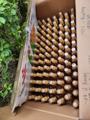 Dưỡng tóc Dessange
