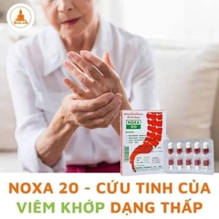 Thuốc trị đau nhức xương khớp Thái Lan NOXA 20 hộp 1 vỉ 10 viên