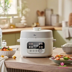 NỒI ÁP SUẤT 4L SB-AS40W