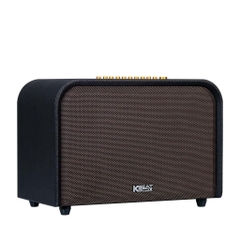 Loa Karaoke ACNOS Acoustic 3 - 2Micro