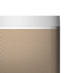 Loa Bang&Olufsen Beolit 20 - Chính Hãng
