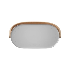 Loa Bang & Olufsen Beosound A5