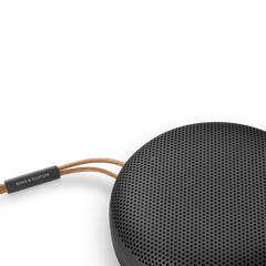 Loa Bang & Olufsen Beosound A1 Gen2