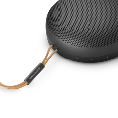 Loa Bang & Olufsen Beosound A1 Gen2