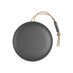 Loa Bang & Olufsen Beosound A1 Gen2