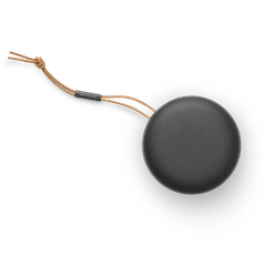 Loa Bang & Olufsen Beosound A1 Gen2