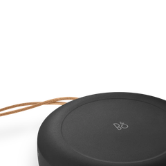 Loa Bang & Olufsen Beosound A1 Gen2