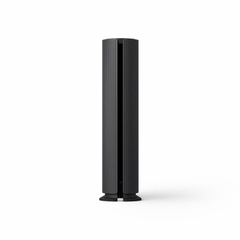 Loa Bang & Olufsen Beosound Emerge