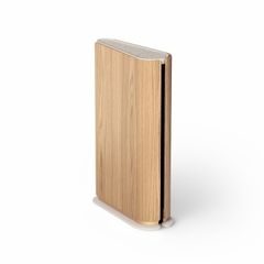 Loa Bang & Olufsen Beosound Emerge