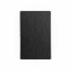 Loa Bang & Olufsen Beosound Level