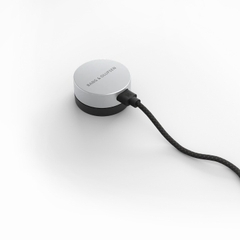 Loa Bang & Olufsen Beosound Level