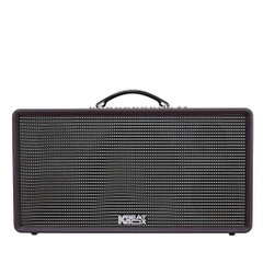 Loa Karaoke Di Động ACNOS Flac36 - 2Micro