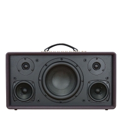 Loa Karaoke Di Động ACNOS Flac36 - 2Micro