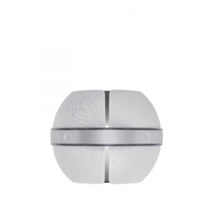 Loa Devialet Mania