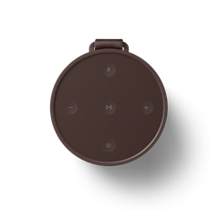 Loa B&O Beosound Explore