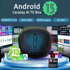 Android box 3 in 1 cho Ô tô/TV, hệ điều hành android 13, 8 nhân, chip Qualcomm 6125/665, HDMI out/TV out