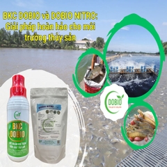 BKC DOBIO và DOBIO NITRO: Giải pháp hoàn hảo cho môi trường thủy sản