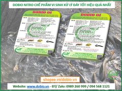Dobio 01 Men Vi Sinh Đặc Biệt Gây Màu Đẹp Nước Làm Sạch Đáy Ao