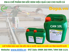 CHẾ PHẨM SINH HỌC EM G GỐC DẠNG NƯỚC 10 LÍT - Công Ty Bán Chế Phẩm EM Gốc Tốt Hiệu Quả Nhất