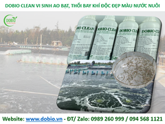 DOBIO CLEAN CHẾ PHẨM MEN VI SINH XỬ LÝ NHỚT ĐÁY BẠT HIỆU QUẢ CAO