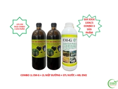 Combo 2 mật rỉ đường + 1 EM-G dạng nước sản xuất EM2 cho thủy sản