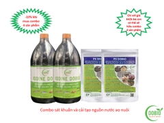 Combo sát khuẩn và cải tạo nguồn nước cao cấp