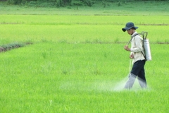 5 loại thuốc bảo vệ thực vật sinh học được tin dùng nhất hiện nay