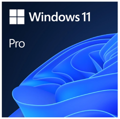 Win 11 Pro 64bit Eng Intl 1pk DSP OEI DVD VAT