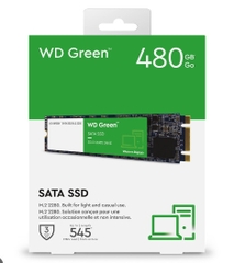 SSD WESTERN 480GB GREEN Cổng M2 VAT