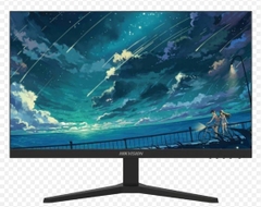 LCD HIKVISION 24