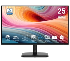LCD MSI PRO MP251L E2 24.5