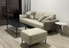 Sofa Băng Da 803T