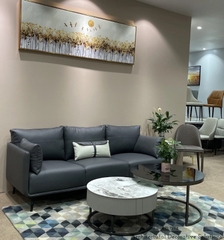 Sofa Băng Giá Rẻ 450T