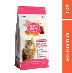 Thức Ăn Hạt Cho Mèo Today Dinner 1kg