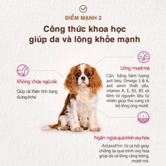 Thức Ăn Hạt Nature's Kitchen 2kg Tốt Cho Lông Và Da  (chó mọi lứa tuổi)