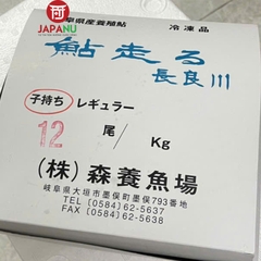 Cá Ayu Nhật Bản - 1Kg (Có trứng & Không trứng)